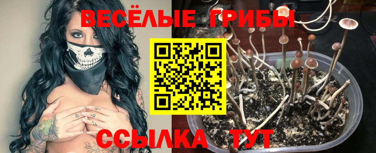 Псилоцибиновые грибы MAGIC MUSHROOMS Волгоград